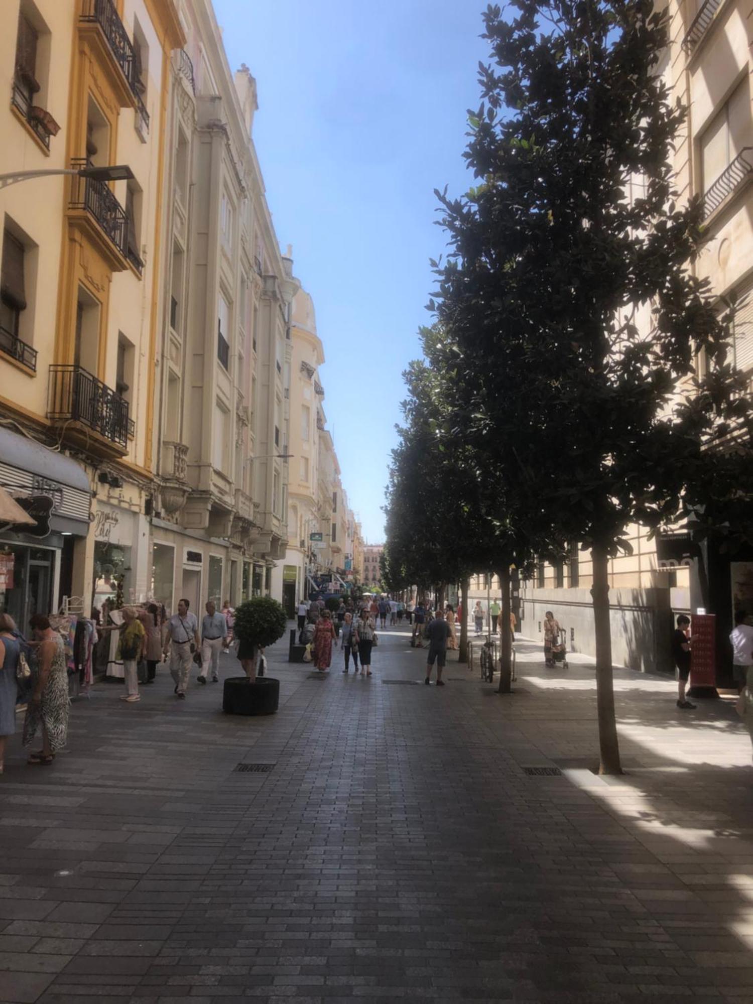 Apartamento En El Centro Totalmente Climatizado, Parking Gratuito Córdoba Exterior foto